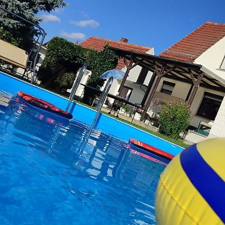 Ferienwohnung Koenig Niedergurig Bei Bautzen Malschwitz Zewnętrze zdjęcie