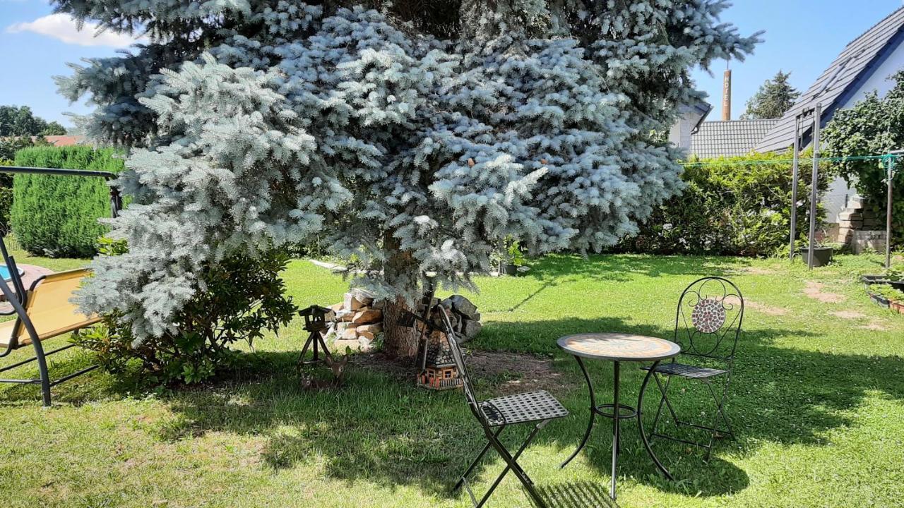 Ferienwohnung Koenig Niedergurig Bei Bautzen Malschwitz Zewnętrze zdjęcie